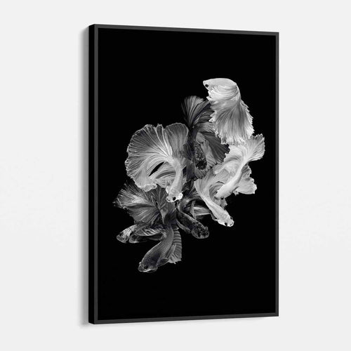 Black Fish Wall Art Canvas 8836