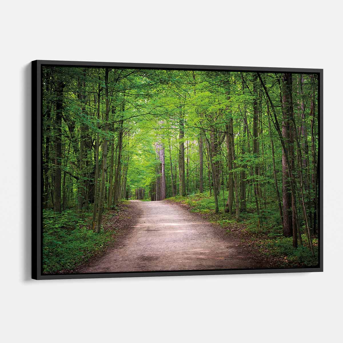 Green Forest Wall Art Canvas 9082 Walls By Me