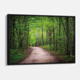 Green Forest Wall Art Canvas 9082