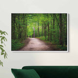 Green Forest Wall Art Canvas 9082