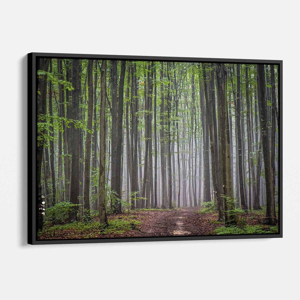 Green Forest Wall Art Canvas 7432 Walls By Me