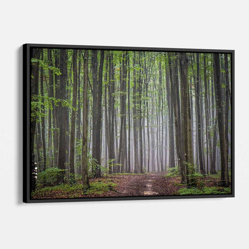 Green Forest Wall Art Canvas 7432