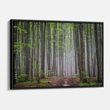 Green Forest Wall Art Canvas 7432
