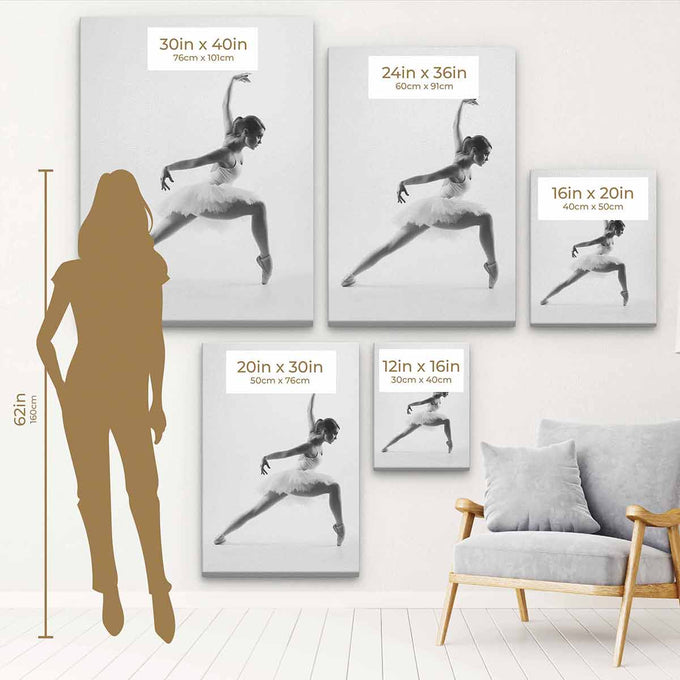 White Graceful Focus: Black and White Ballet Dancer Wall Art Canvas 7209