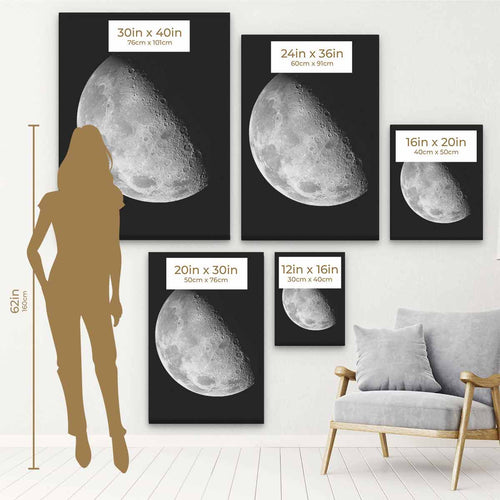 Black Graceful Moon Wall Art Canvas 1540