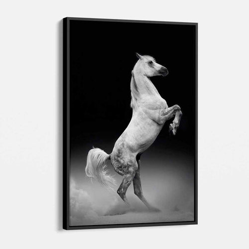 Black Horse Wall Art Canvas 4950