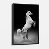 Black Horse Wall Art Canvas 4950