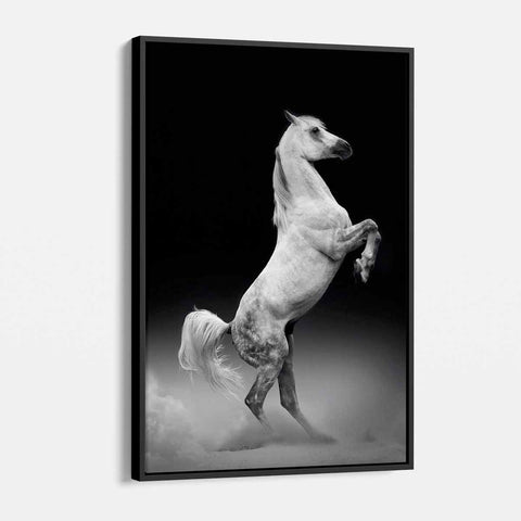 Black Horse Wall Art Canvas 4950