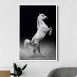 Black Horse Wall Art Canvas 4950