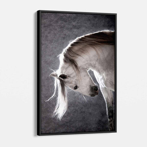 Grey Horse Wall Art Canvas 7042