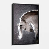 Grey Horse Wall Art Canvas 7042