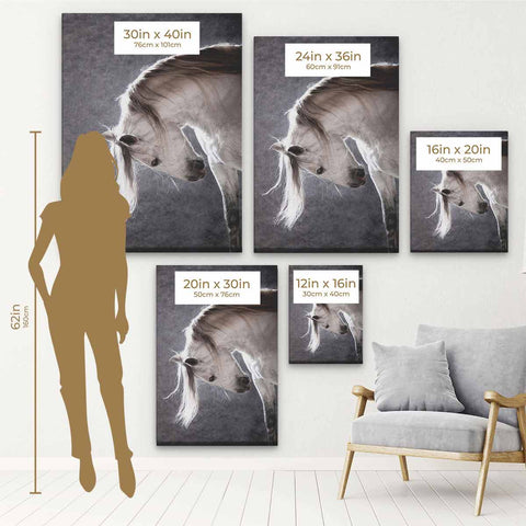 Grey Horse Wall Art Canvas 7042