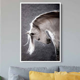 Grey Horse Wall Art Canvas 7042