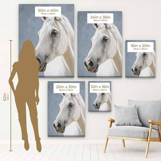 White Horse Wall Art Canvas 0701