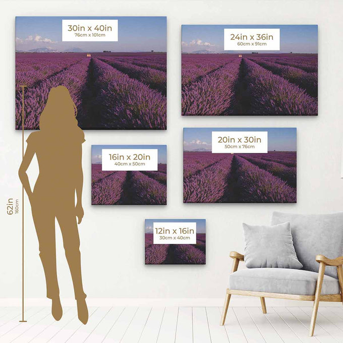 Purple Lavender Field Wall Art Canvas 1284