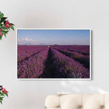Purple Lavender Field Wall Art Canvas 1284