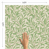 Now, an urban jungle is a possibility even for those who don’t have a green thumb! This artistic and elegant botanical wallpaper brings you delicate vines that ascend your walls, covering them in vintage vibes and a hand painted charm. Using an off-white background and light green notes, this peel and stick wallpaper has a warming yet understated appearance that makes way for other prominent elements in your room.