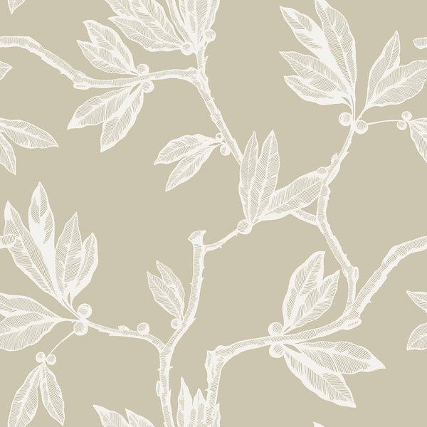Green Leaf Wallpaper Peel and Stick Tropical Wallpaper Stick and Peel  Jungle Wallpaper Self Adhesive Removable Wallpaper Green Contact Paper  Rainforest Palm Leaves Wall Covering Vinyl Film 177 118  Amazonin  Home Improvement