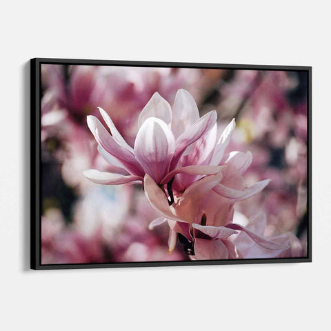 Purple Magnolia Wall Art Canvas 0666