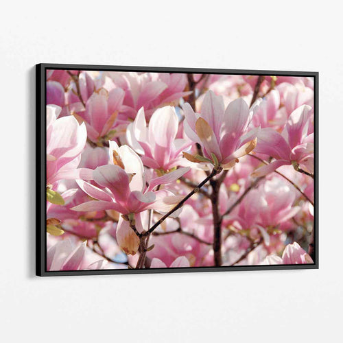 Pink Magnolias Wall Art Canvas 7940