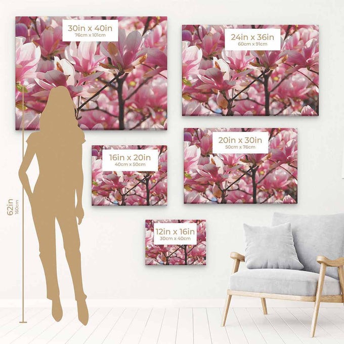Pink Magnolias Wall Art Canvas 7940