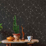 When there are too many considerations to keep in mind for your next decor upgrade, let this unique geometric wallpaper connect the dots for you! Featuring a seamless network of slender white and grey lines converging on dots over a dark grey background, this sophisticated peel and stick wall covering brings a slick, futuristic vibe to your living space.