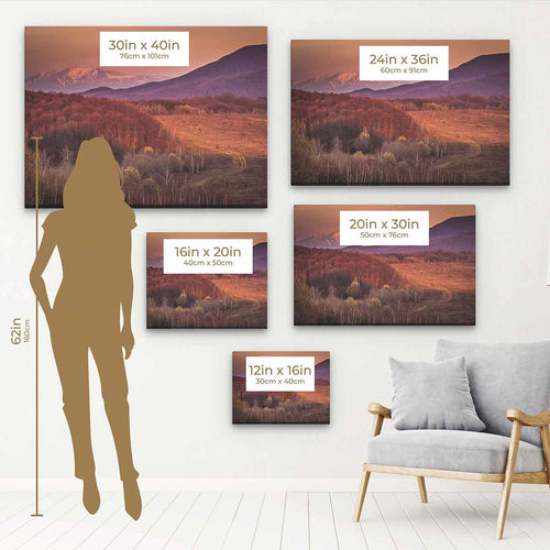 Brown Mountain Wall Art Canvas 5924