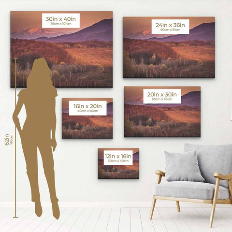 Brown Mountain Wall Art Canvas 5924