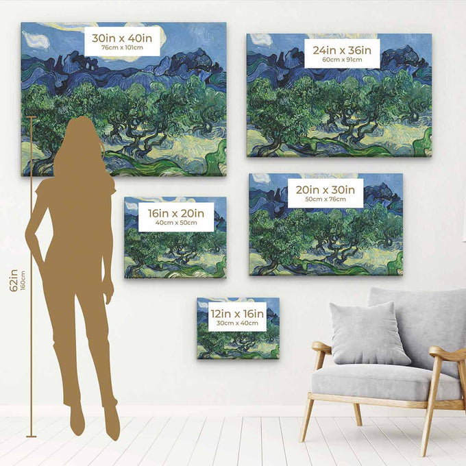 Blue Olive Trees Wall Art Canvas 4892