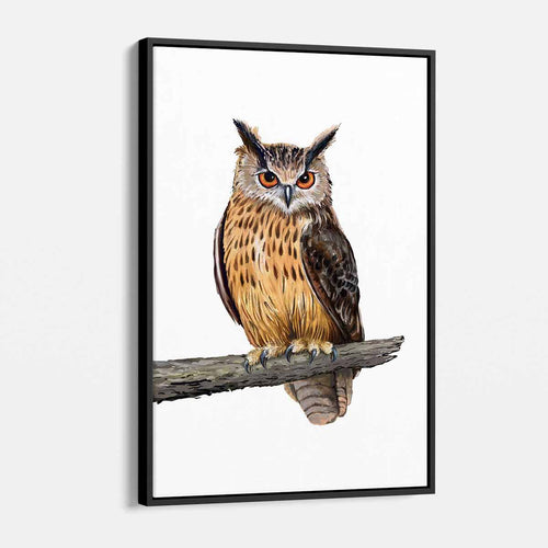 Brown Owl Wall Art Canvas 9855
