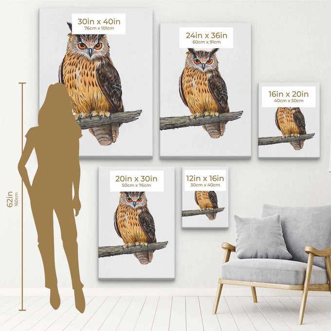 Brown Owl Wall Art Canvas 9855