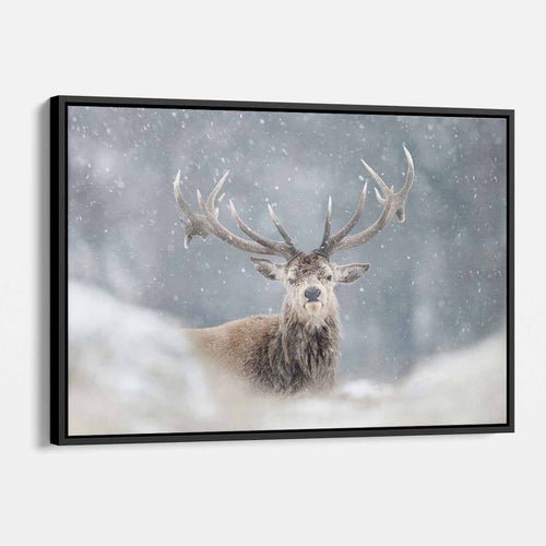 Blue Reindeer Wall Art Canvas 8094