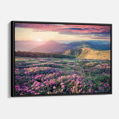 Pink Rhododendron Field Wall Art Canvas 6203