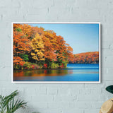 Multi Color River Wall Art Canvas 2210