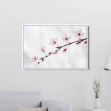White Sakura Cherry Blossom Wall Art Canvas 9450