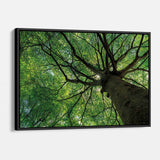 Green Tree Wall Art Canvas 6470