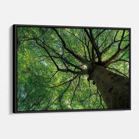Green Tree Wall Art Canvas 6470