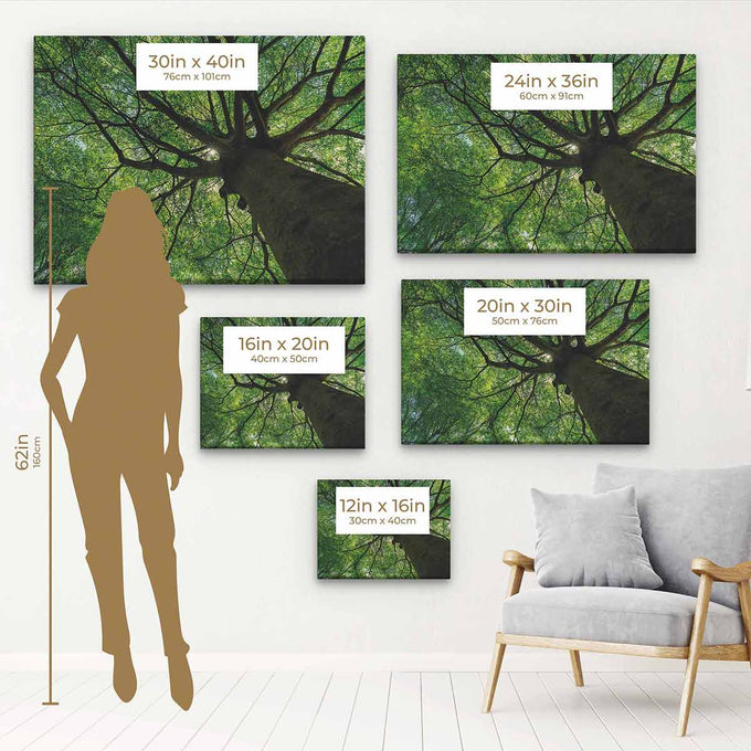 Green Tree Wall Art Canvas 6470
