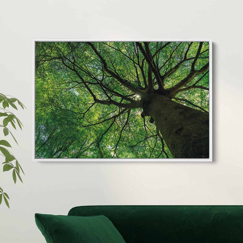 Green Tree Wall Art Canvas 6470
