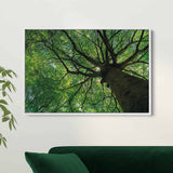 Green Tree Wall Art Canvas 6470