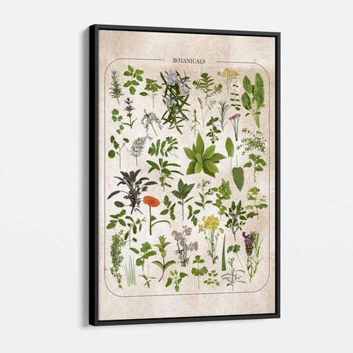 Green Vintage Flowers Illustration Wall Art Canvas 8176