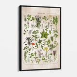 Green Vintage Flowers Illustration Wall Art Canvas 8176