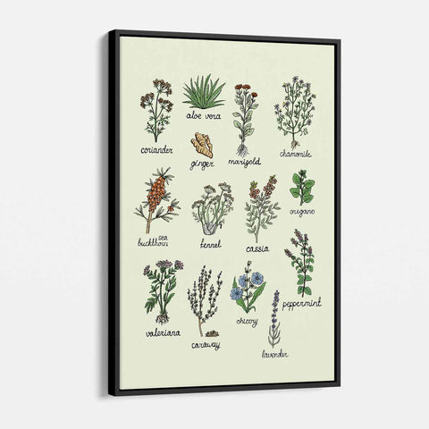 Green Vintage Herbs Wall Art Canvas 7892