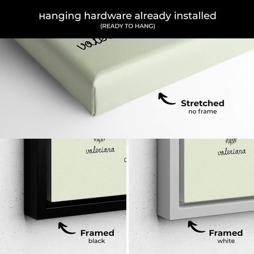 Green Vintage Herbs Wall Art Canvas 7892