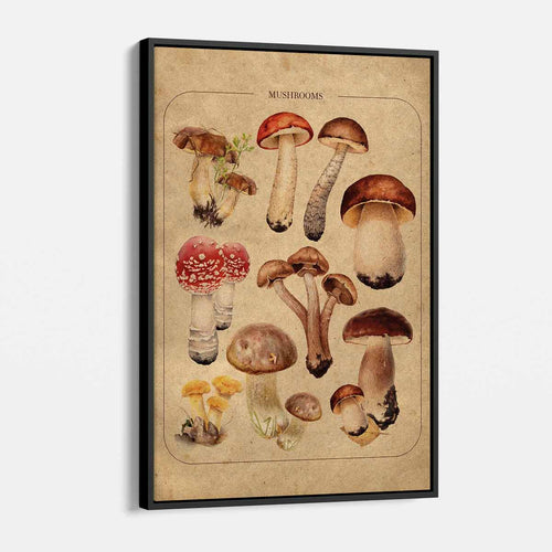 Beige Vintage Mushroom Family Wall Art Canvas 0994