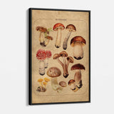 Beige Vintage Mushroom Family Wall Art Canvas 0994