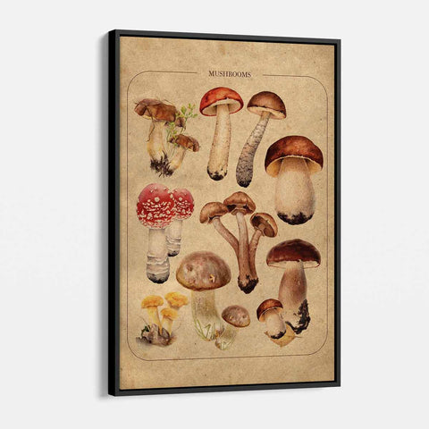 Beige Vintage Mushroom Family Wall Art Canvas 0994