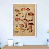 Beige Vintage Mushroom Family Wall Art Canvas 0994
