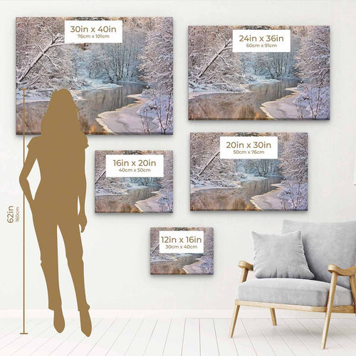 Multi Color Winter River Wall Art Canvas 6173