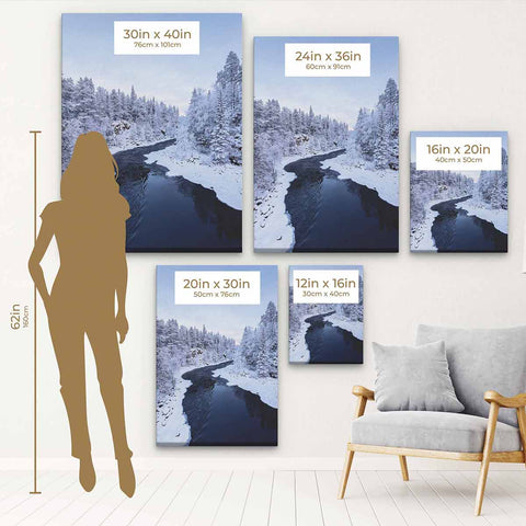 White Winter River Wall Art Canvas 2750